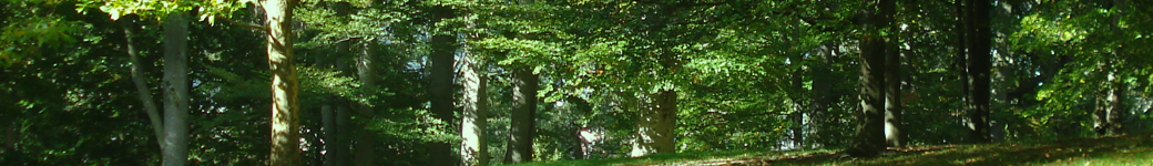 No cost porn web cam stay gay porn boards